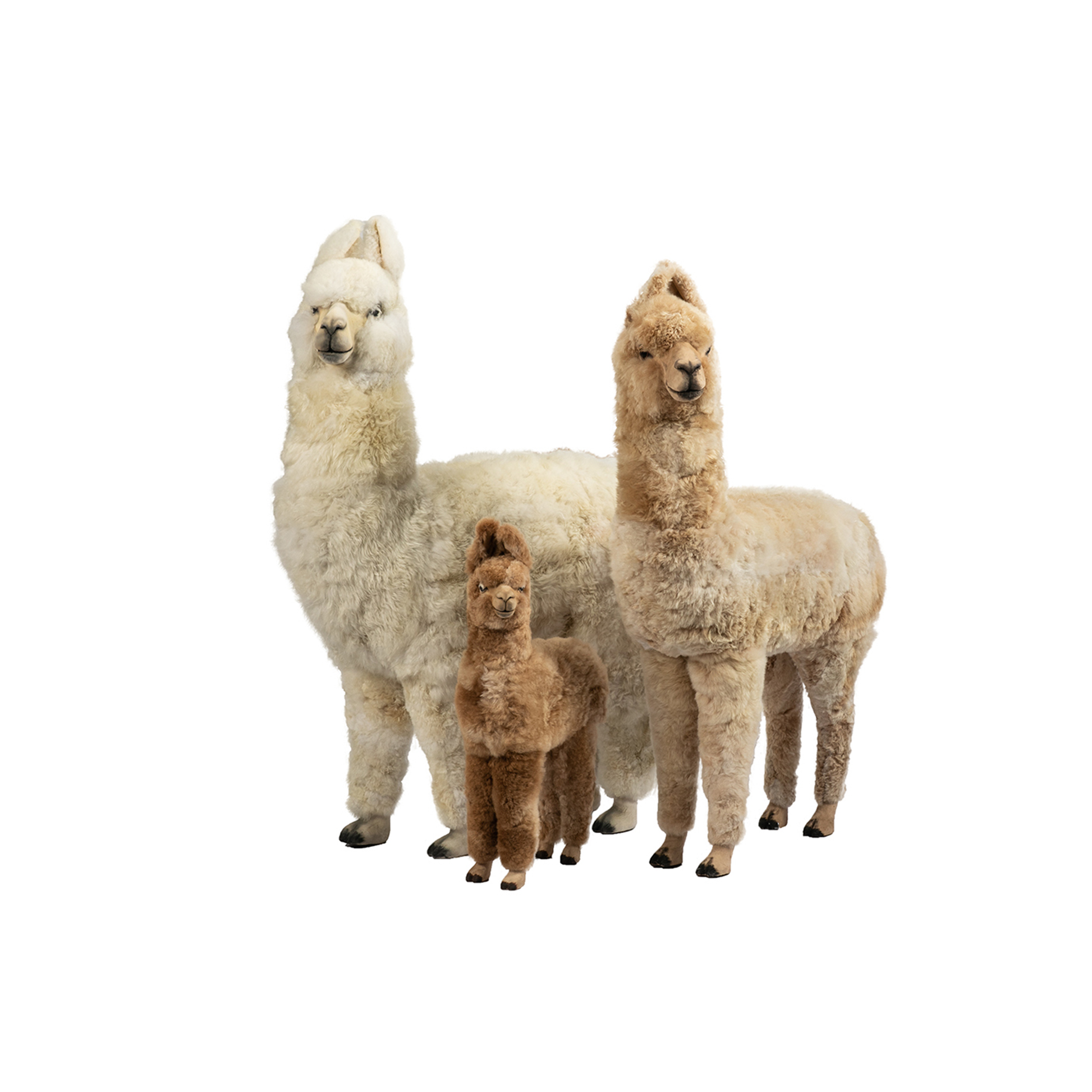 Alpaca Sculpture – Fibre by Auskin (USA) Alpaca Sculpture – Fibre by Auskin (USA)