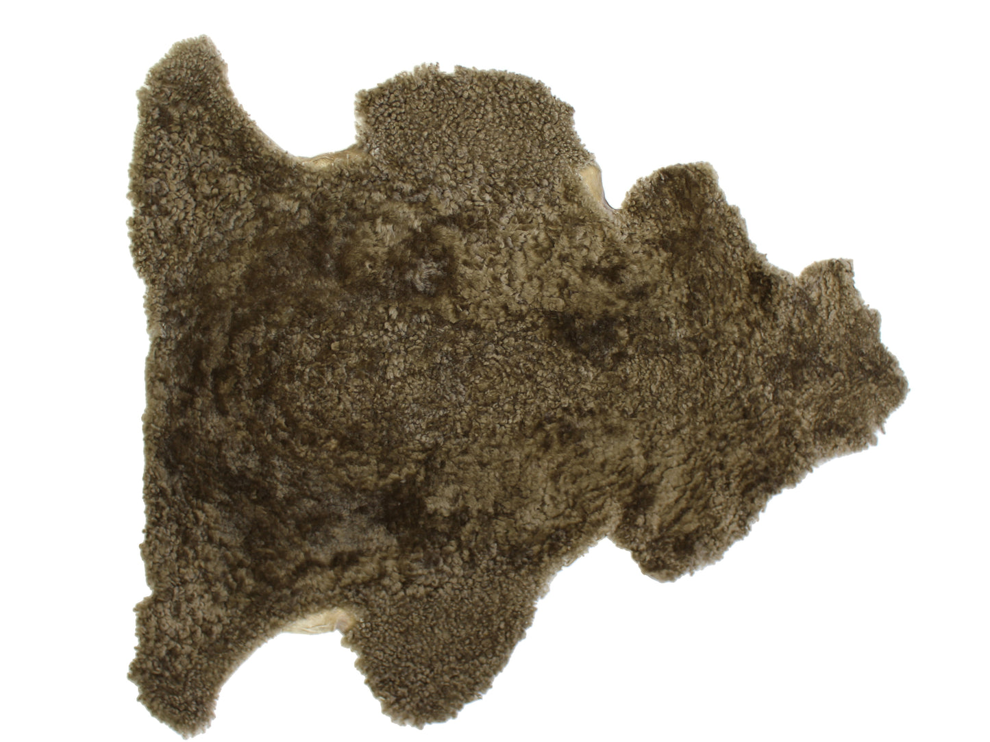 Shorn Curly Sheepskin Manufacturing Skin