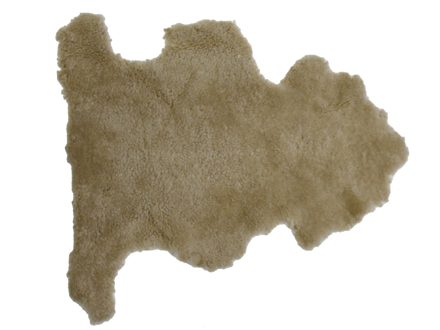 Shorn Curly Sheepskin Manufacturing Skin