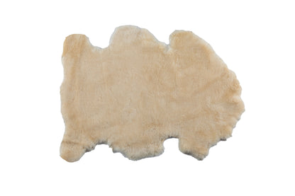 Shorn Sheepskin Manufacturing Skin
