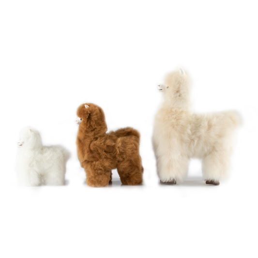 Alpaca Props Decorative Accessories Collectibles – Fibre by Auskin (USA)