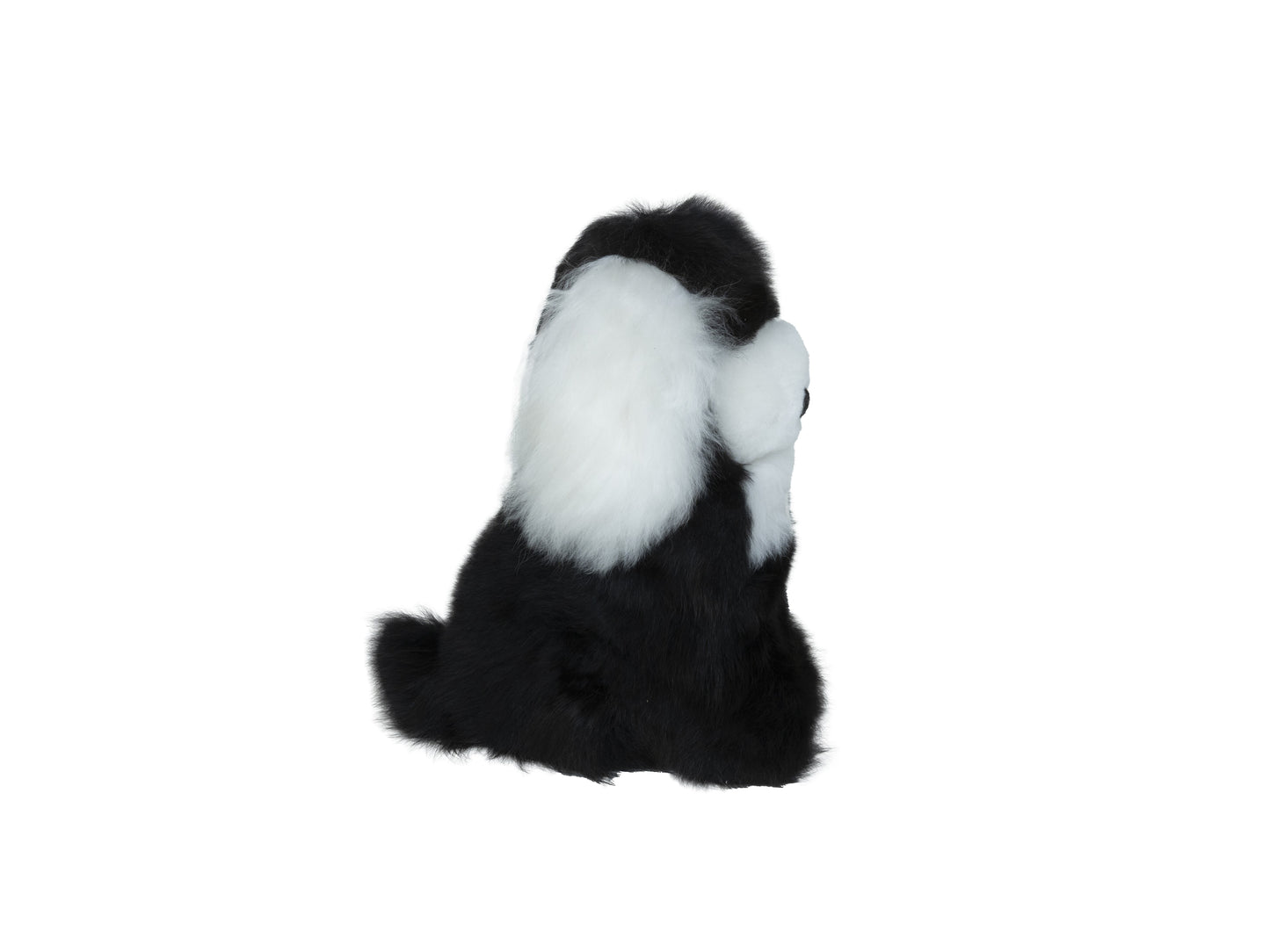 Alpaca Puppy Collectible